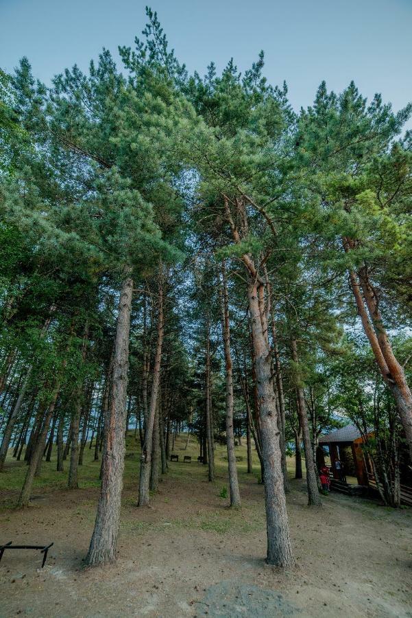 Hotel Complex Nabadi Омало Экстерьер фото